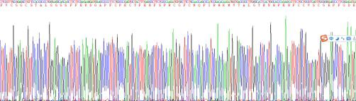 Recombinant Human Transforming Growth Factor Beta 1 Induced Transcript 1 (TGFb1I1)