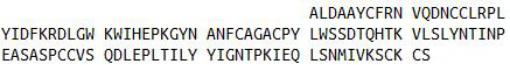 Recombinant Transforming Growth Factor Beta 2 (TGFb2), RPU44135