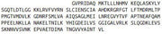 Recombinant Transforming Growth Factor Beta Induced Protein (TGFbI), RPU44139