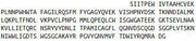 Recombinant Transmembrane Protease, Serine 2 (TMPRSS2), RPU44149