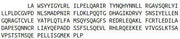 Recombinant Transmembrane Protein 173 (TMEM173), RPU44150