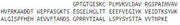 Recombinant Prealbumin (PALB), RPU44157