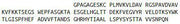 Recombinant Prealbumin (PALB), RPU44158