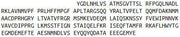 Recombinant Tubulin Beta 3 (TUBb3), RPU44211