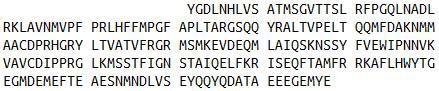 Recombinant Tubulin Beta 3 (TUBb3), RPU44211