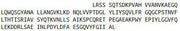 Recombinant Tumor Necrosis Factor Alpha (TNFa), RPU44219