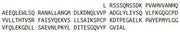 Recombinant Tumor Necrosis Factor Alpha (TNFa), RPU44220