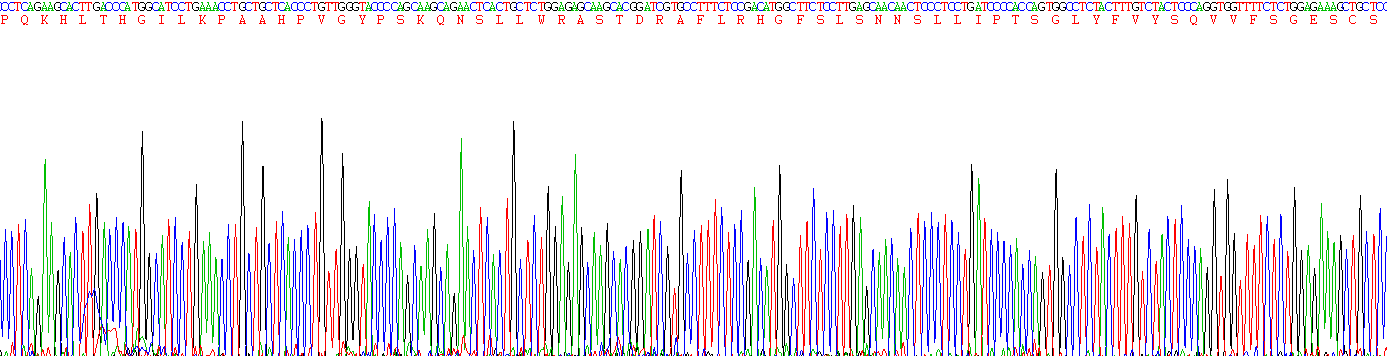 Figure. Gene Sequencing (Extract)