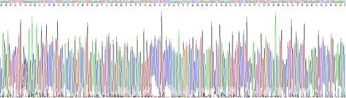 Recombinant Mouse Tumor Necrosis Factor Receptor Superfamily, Member 14 (TNFRSF14)