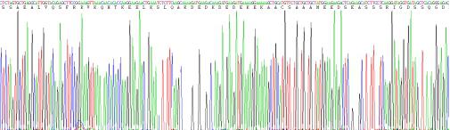 Recombinant Human Ubiquitin Protein Ligase E3A (UBE3A)
