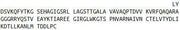 Recombinant Mitochondrial Uncoupling Protein 2 (UCP2), RPU44288