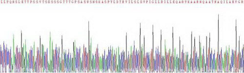 Recombinant Mouse Urocortin 2 (UCN2)