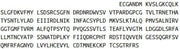 Recombinant Uromodulin (UMOD), RPU44297