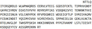 Recombinant Vascular Endothelial Growth Factor Receptor 2 (VEGFR2), RPU44335