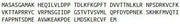 Recombinant Vesicle Associated Membrane Protein Associated Protein A (VAPA), RPU44346