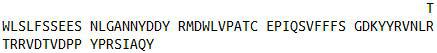Recombinant Vitronectin (VTN), RPU44363