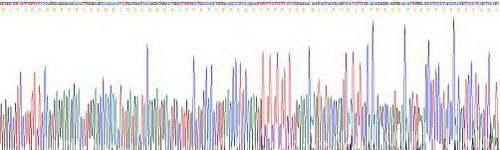Recombinant Human Vitronectin (VTN)