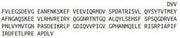 Recombinant Von Willebrand Factor (vWF), RPU44368