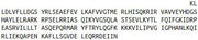 Recombinant Von Willebrand Factor (vWF), RPU44370