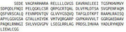 Recombinant Von Willebrand Factor A Domain Containing Protein 2 (vWA2), RPU44374