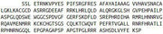 Recombinant Wingless Type MMTV Integration Site Family, Member 10A (WNT10A), RPU44383