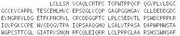 Recombinant WNT1 Inducible Signaling Pathway Protein 2 (WISP2), RPU44389