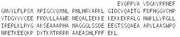 Recombinant Xeroderma Pigmentosum, Complementation Group C (XPC), RPU44390