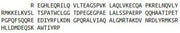 Recombinant Z-DNA Binding Protein 1 (ZBP1), RPU44394