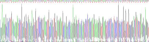 Recombinant Human Z-DNA Binding Protein 1 (ZBP1)