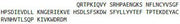 Recombinant Beta-2-Microglobulin (b2M), RPU44401