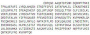 Recombinant Alpha-1-Antitrypsin (a1AT), RPU44403