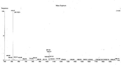 BSA Conjugated Rat Parathyroid Hormone (PTH)