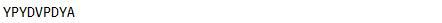 OVA Conjugated Hemagglutinin (HA), RPU50043