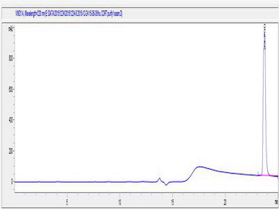 OVA Conjugated Human Cortistatin (CORT)