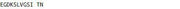 OVA Conjugated Transcription Termination Factor, RNA polymerase I (TTF1), RPU50061