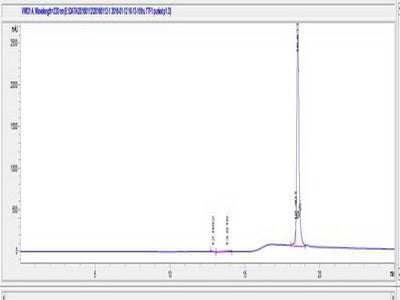 OVA Conjugated Human Transcription Termination Factor, RNA polymerase I (TTF1)