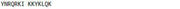 OVA Conjugated Intercellular Adhesion Molecule 1 (ICAM1), RPU50080