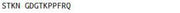 OVA Conjugated Tumor Protein P63 (TP63), RPU50084
