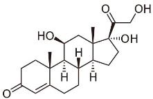 BSA Conjugated Cortisol (Cor), RPU50085