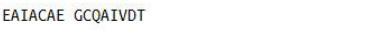 OVA Conjugated Pepsin (PP), RPU50094