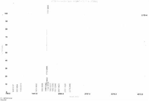 OVA Conjugated Mouse Myostatin (MSTN)