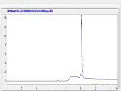 OVA Conjugated Human p53 Upregulated Modulator Of Apoptosis (PUMA)
