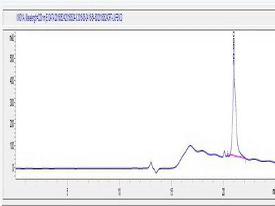 OVA Conjugated Human Creatine Transporter (CRT)