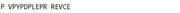 OVA Conjugated Osteocalcin (OC), RPU50113