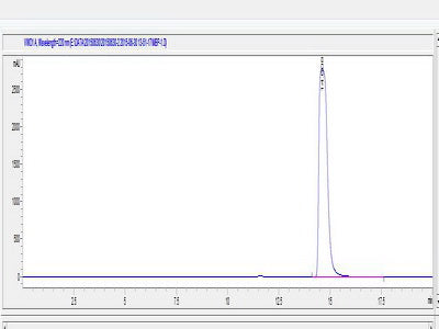 OVA Conjugated Human Myelin Basic Protein (MBP)
