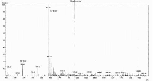 OVA Conjugated Mouse Beta-Endorphin (bEP)