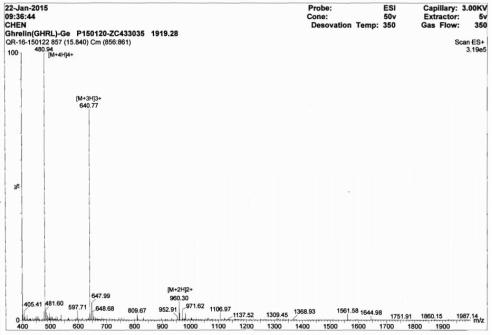 OVA Conjugated Mouse Ghrelin (GHRL)