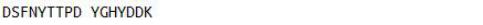 OVA Conjugated Complement Component 5a Receptor 1 (C5aR1), RPU50145