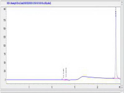 OVA Conjugated Human Interleukin 8 Receptor Beta (IL8Rb)
