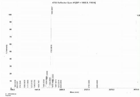 BSA Conjugated Human Cross Linked N-Telopeptide Of Type I Collagen (NTXI)